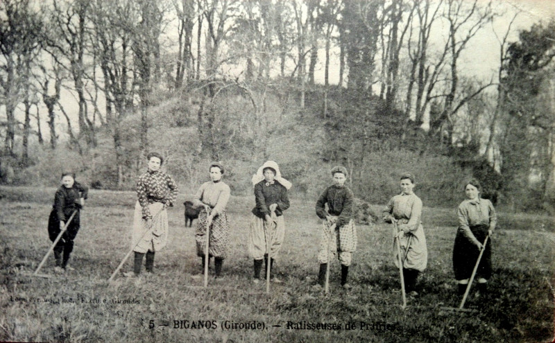 Carte postale ancienne Biganos - Ratisseuses de prairie