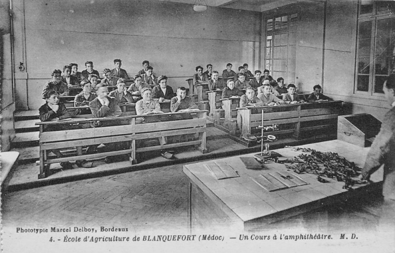 Carte postale ancienne Bf-Agr-Amphi