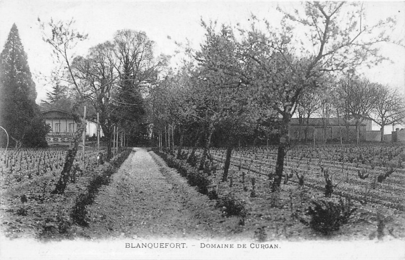 Carte postale ancienne Bf-Curgan