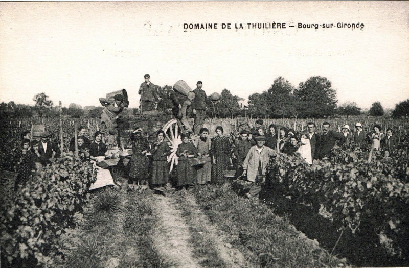 Carte postale ancienne Bourg - Vendanges 2