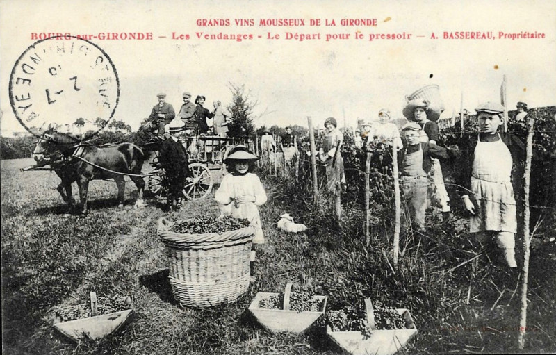Carte postale ancienne Bourg - Vendanges 4