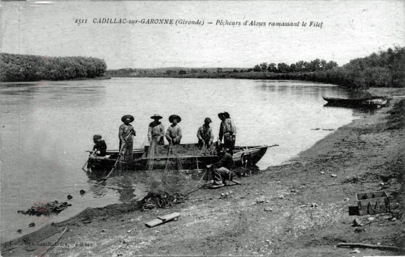 Carte postale ancienne Cadillac - Bords de la Garonne - pêche à l'alose 2
