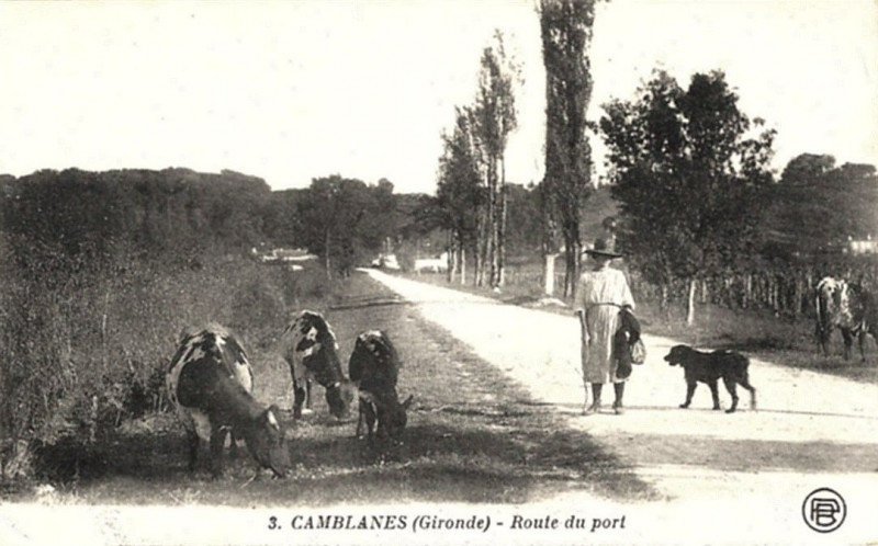 Carte postale ancienne Camblanes-et-Meynac - route du port