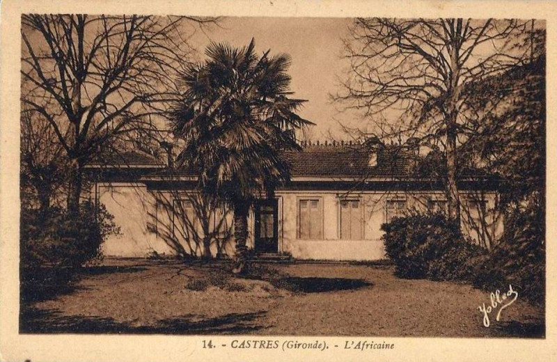Carte postale ancienne Castres - l'Africaine