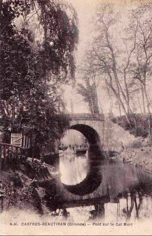 Carte postale ancienne Castres - le Gat-mort