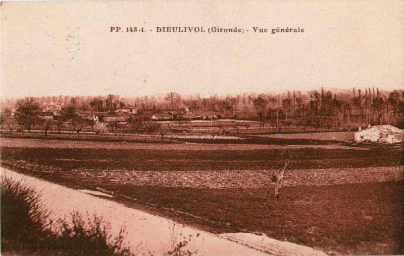 Carte postale ancienne Dieulivol - vue générale