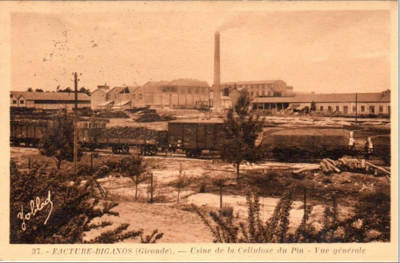 Carte postale ancienne Facture - la Cellolose du Pin 2