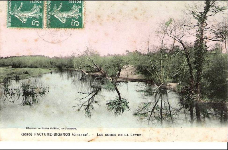 Carte postale ancienne Facture - les bords de la Leyre