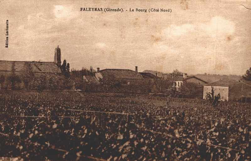 Carte postale ancienne Faleyras - bourg 7