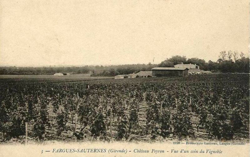 Carte postale ancienne Fargues (Gironde) - château Peyron 1