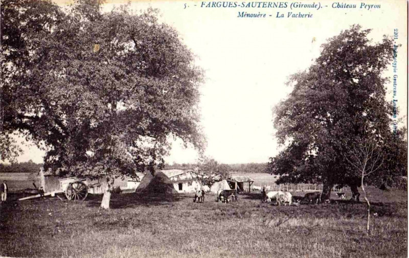 Carte postale ancienne Fargues (Gironde) - château Peyron 2