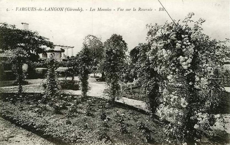 Carte postale ancienne Fargues (Gironde) - Les Monnies