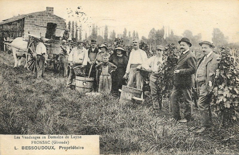 Carte postale ancienne Fronsac - domaine la Layne 1