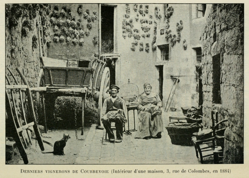 Carte postale ancienne Derniers Vignerons de Courbevoie