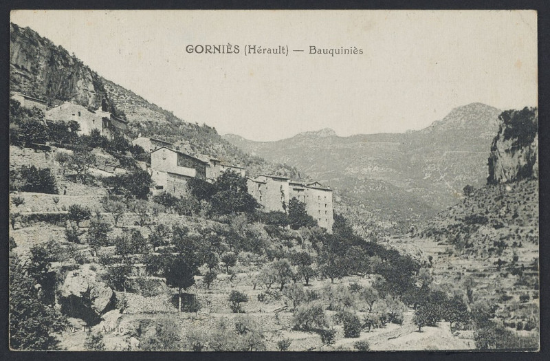 Carte postale ancienne Gorniès Bauquiniès - Archives départementales de l'Hérault - FRAD034-2FICP-00671-00001
