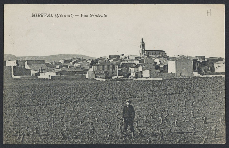 Carte postale ancienne Mireval vue générale 1921 - Archives départementales de l'Hérault - FRAD034-2FICP-02302-00001