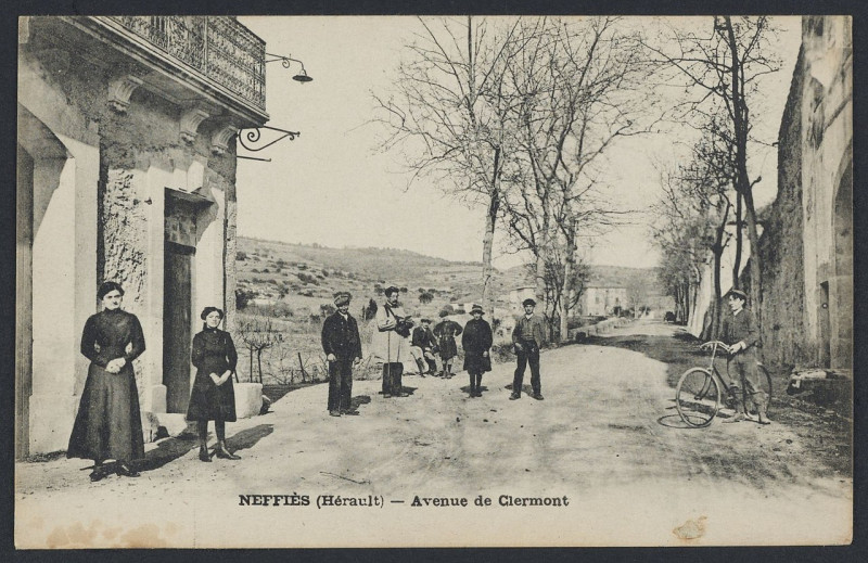 Carte postale ancienne Neffiès avenue de Clermont - Archives départementales de l'Hérault - FRAD034-2FICP-01604-00001