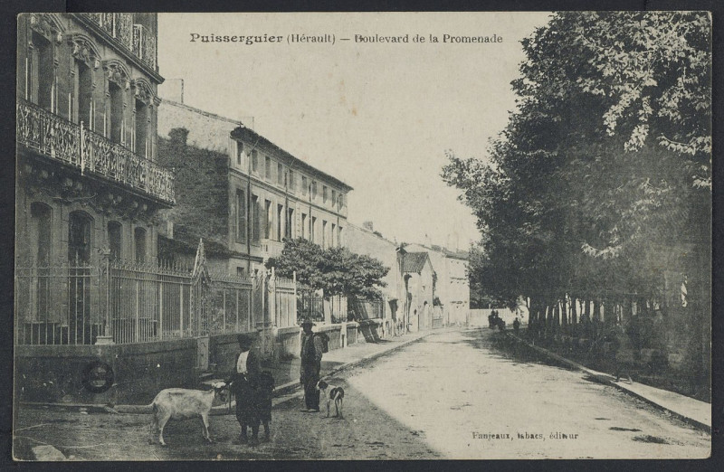 Carte postale ancienne Puisserguier boulevard de la promenade - Archives départementales de l'Hérault - FRAD034-2FICP-04382-00001