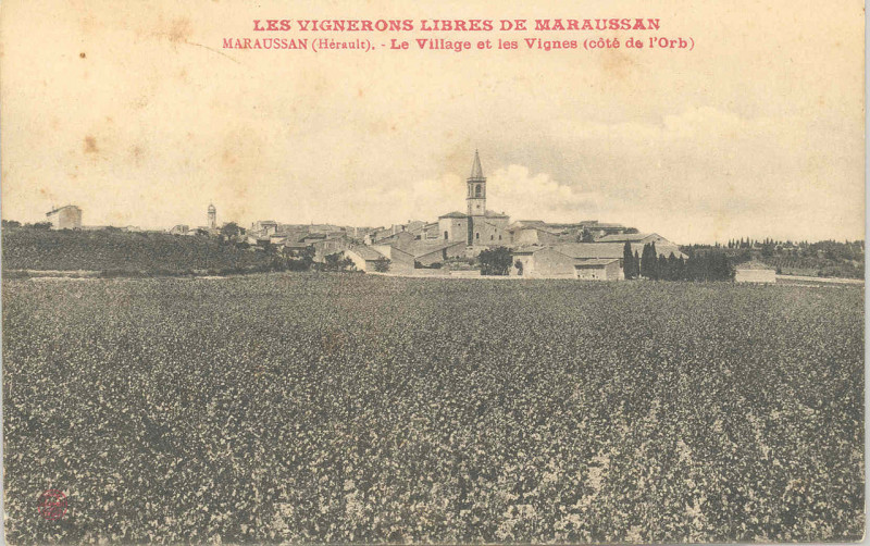 Carte postale ancienne 34 Maraussan le village et les vignes