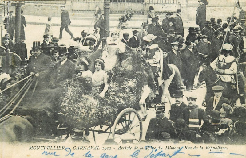 Carte postale ancienne Reine du mimosa Montpellier