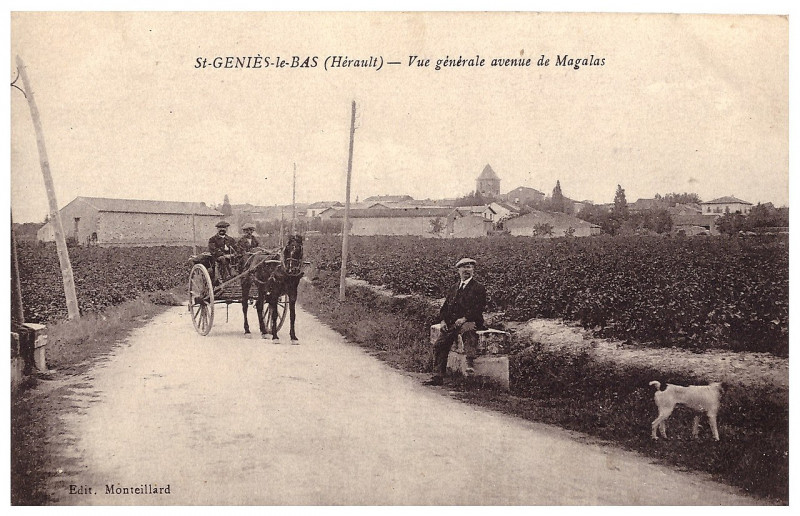 Carte postale ancienne Saint-Genies Carte Ancienne6