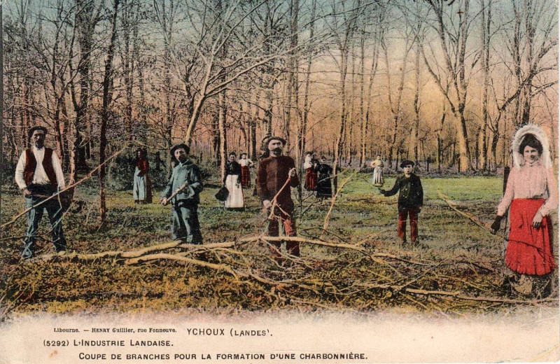 Carte postale ancienne Ychoux - coupe de branches pour charbonnière