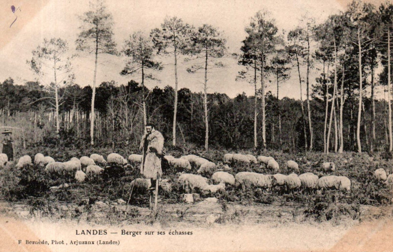 Carte postale ancienne Landes - Berger - échassier 2