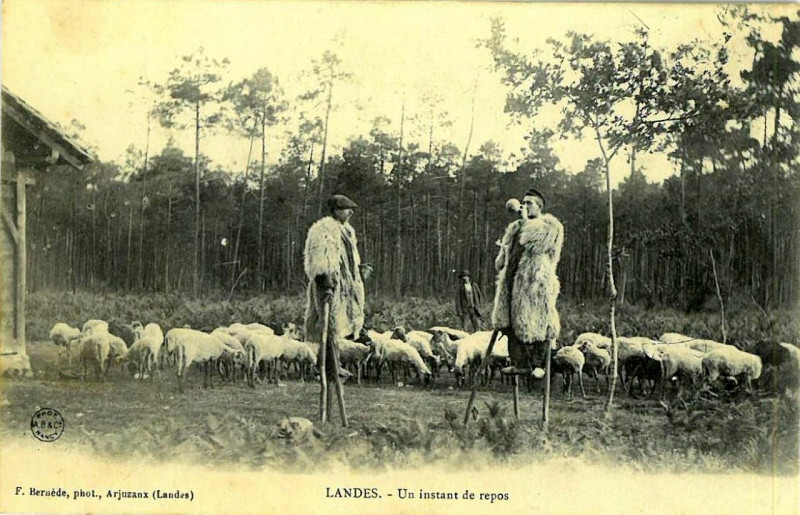 Carte postale ancienne Landes - Berger - échassier 5