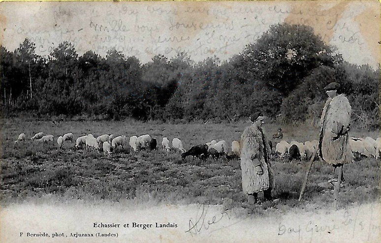 Carte postale ancienne Landes - Berger - échassier 6