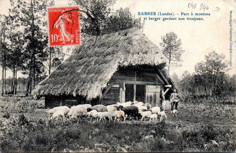 Carte postale ancienne Sabres - Parc à moutons