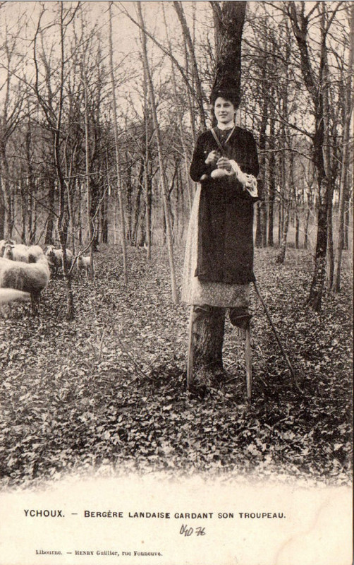 Carte postale ancienne Ychoux - Bergère 1