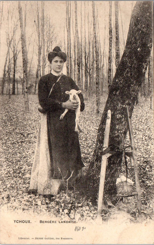 Carte postale ancienne Ychoux - Bergère 2
