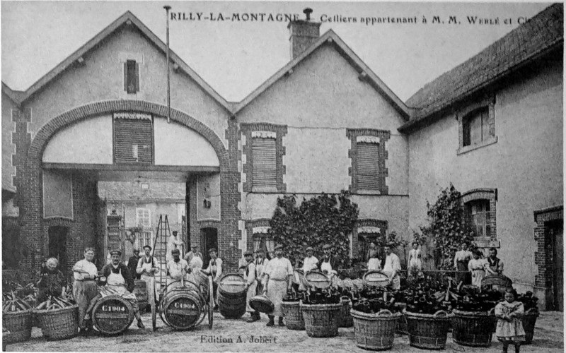 Carte postale ancienne Rilly cuvé 1904 chez Werlé 1005452