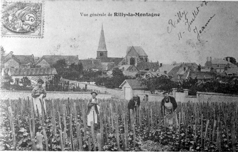 Carte postale ancienne Rilly la montagne 1907 1005446