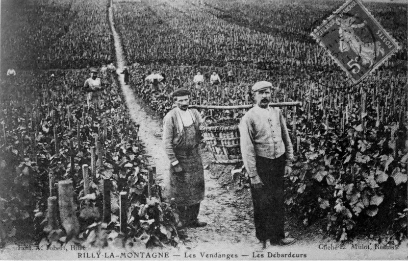 Carte postale ancienne Rilly lieu dit mannequins 1005449