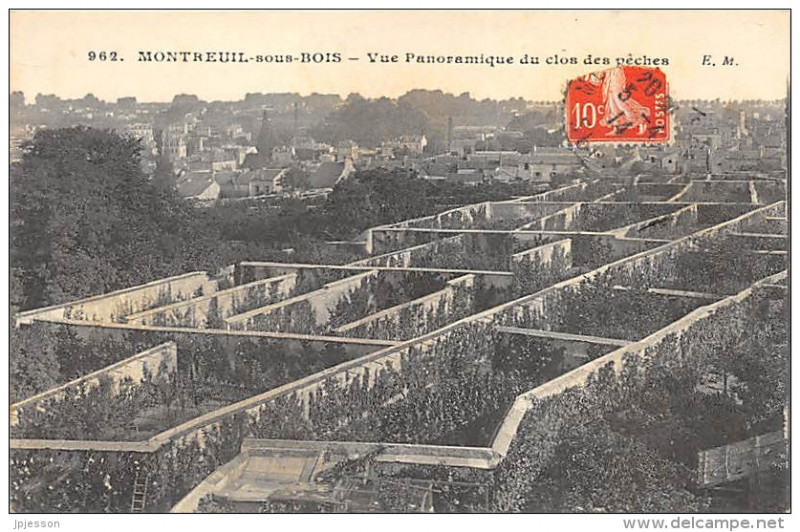 Carte postale ancienne Montreuil.Murs à Peches