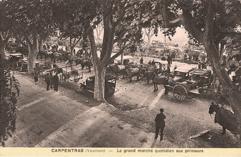 Carte postale ancienne Carpentras Marché aux primeurs
