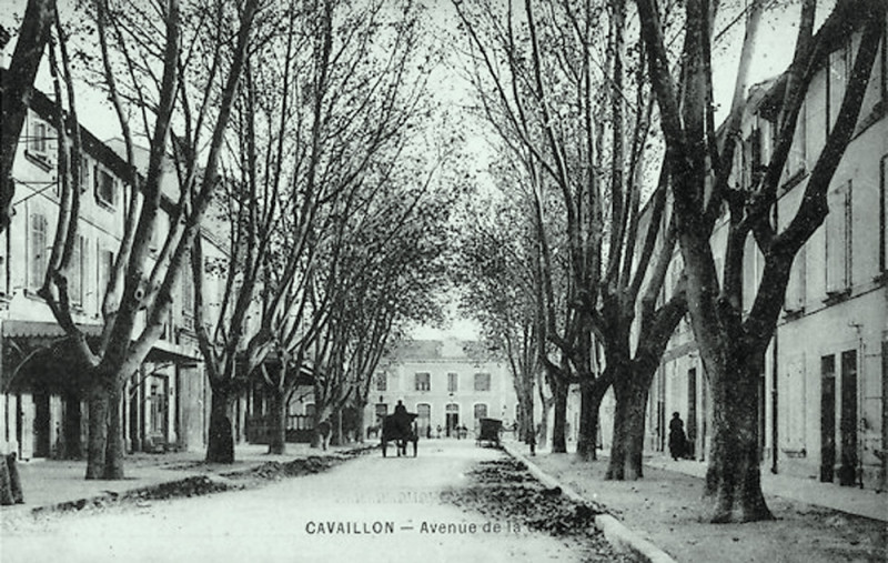 Carte postale ancienne Cavaillon Avenue de la Gare