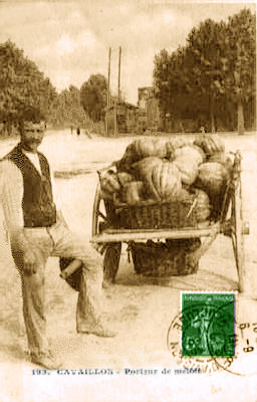 Carte postale ancienne Cavaillon Porteur de melons