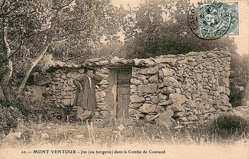 Carte postale ancienne 01 Jas de la combe de Cannaud Mont Ventoux