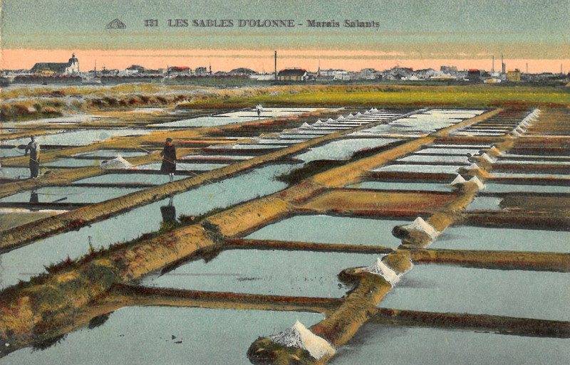 Carte postale ancienne Sables-d'Olonne - Marais salants