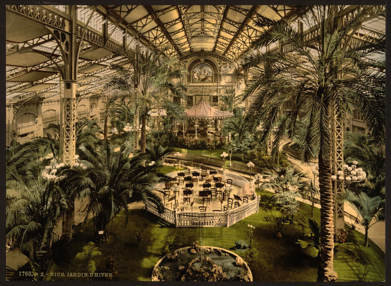Carte postale ancienne Winter garden (interior), Nice, Riviera-LCCN2001699330