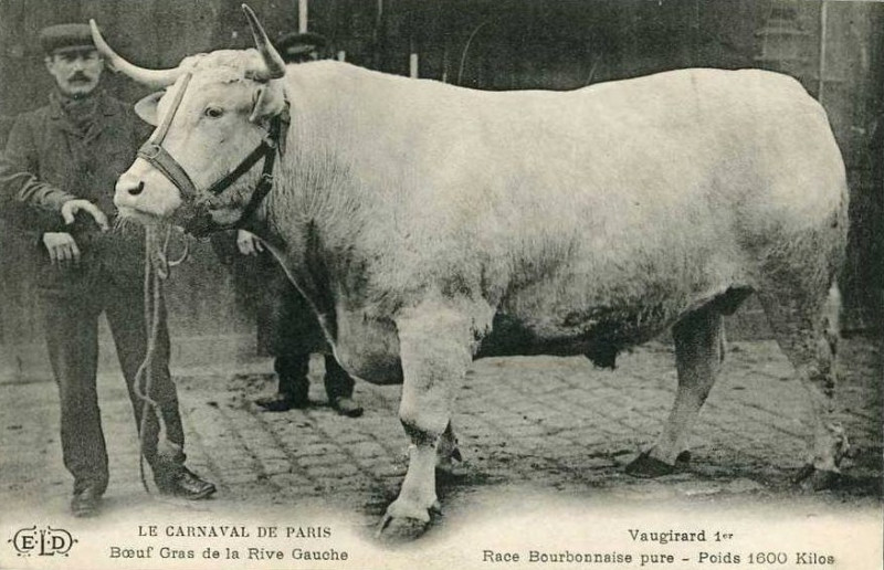 Carte postale ancienne Vaugirard 1er - 1907