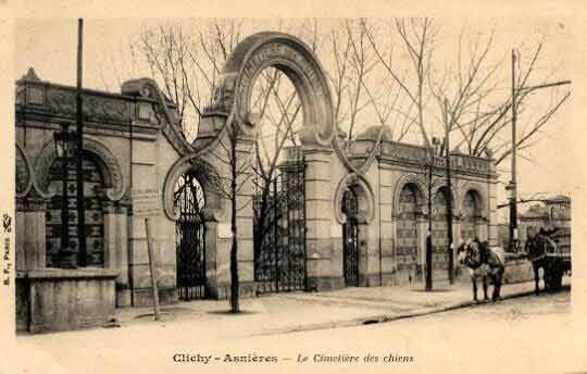 Carte postale ancienne Dog cimetière
