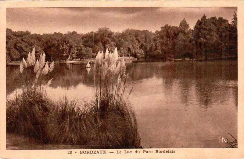 Carte postale ancienne Parc Bordelais - Lac 8b à Bordeaux