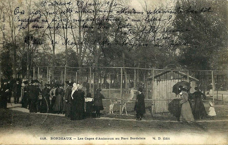 Carte postale ancienne Parc Bordelais - Ménagerie 2 à Bordeaux
