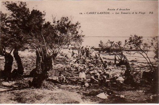 Carte postale ancienne Cassy - Les tamaris et la plage