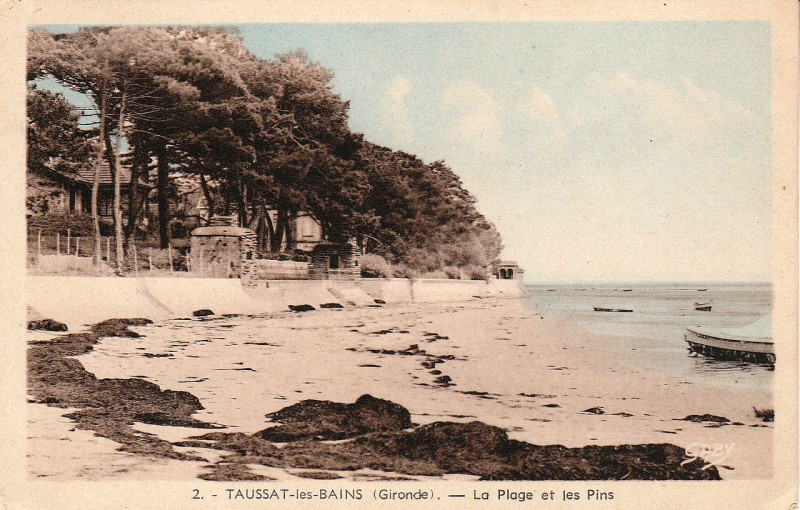 Carte postale ancienne Taussat-les-bains - La plage et les pins
