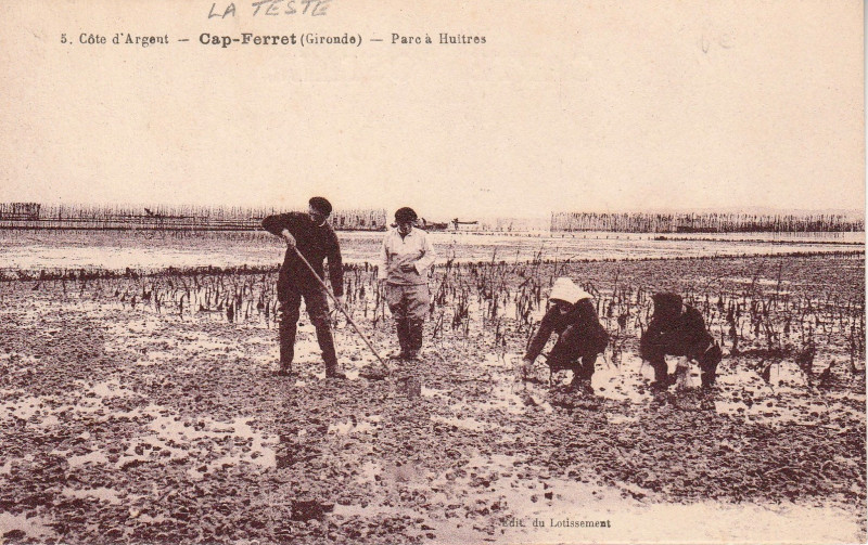 Carte postale ancienne Cap-Ferret - Parc à Huitres