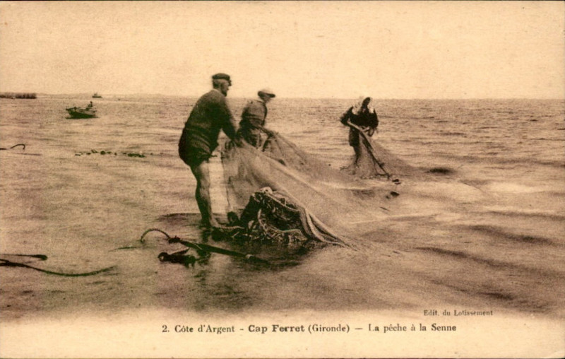 Carte postale ancienne Cap-Ferret - Péche à la Senne